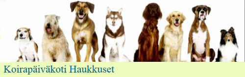 haukkusetlogo.jpg